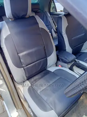 Embakassi Central Car Seat Covers