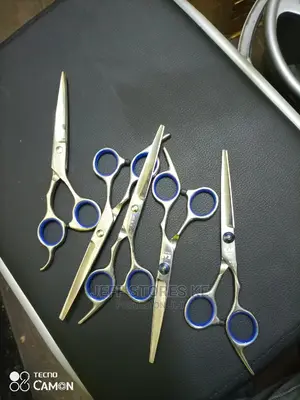 Professional Scissors