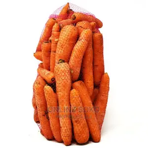 Multipurpose Fruit Vegetable Mesh Net Bags - 100 Pcs