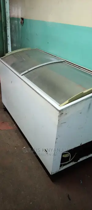 Display Chest Freezer