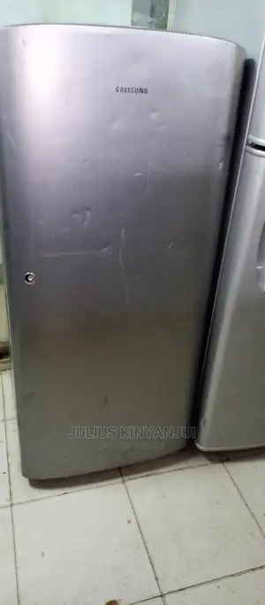 Samsung Fridge One Door