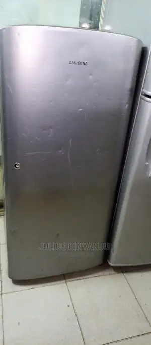 Samsung Fridge One Door