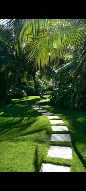 Landscaping and Gardening Services