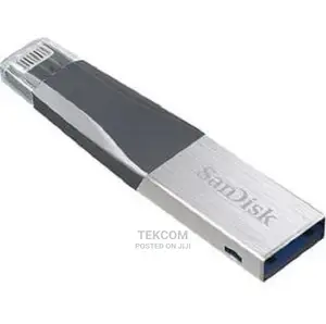 Sandisk Ixpand Mini Flat Dry 128GB