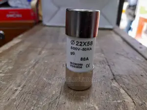 100A Cut Out Fuse