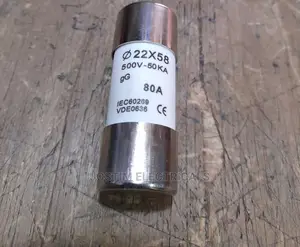 100A Cut Out Fuse