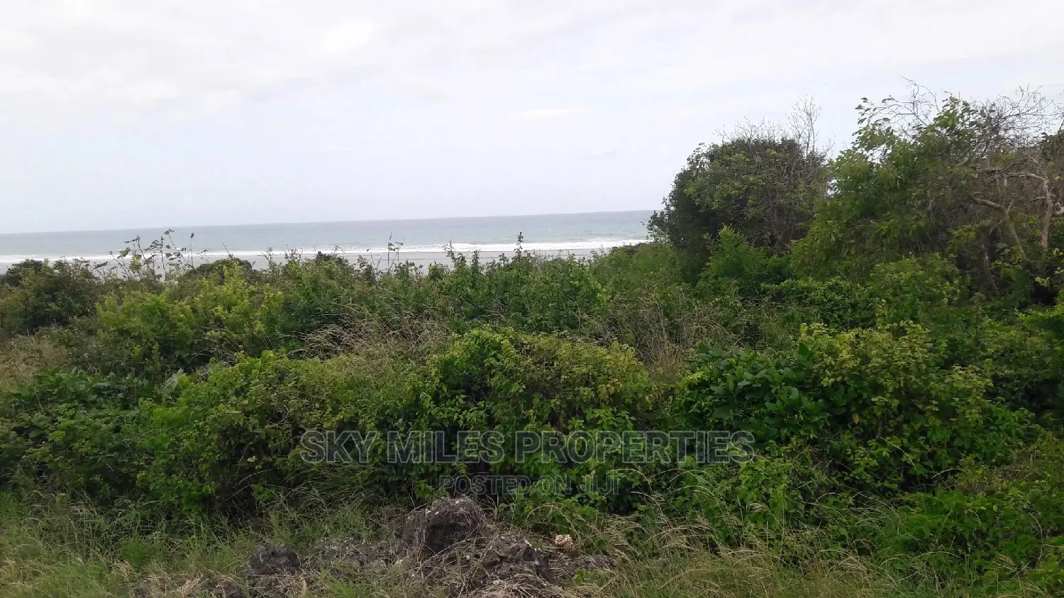 Beach Plot on Sale Vipingo