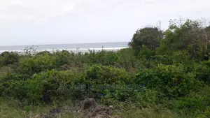 Beach Plot on Sale Vipingo