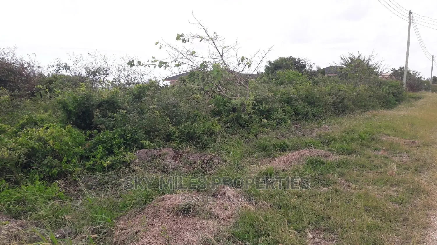 Beach Plot on Sale Vipingo