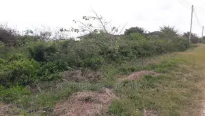 Beach Plot on Sale Vipingo