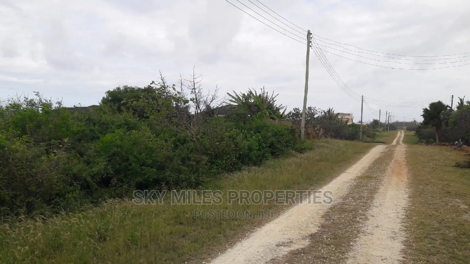 Beach Plot on Sale Vipingo