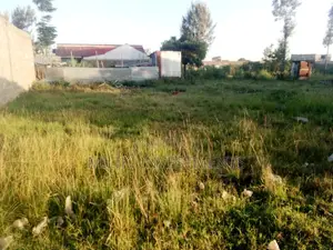 40 by 80 Plots for Sale