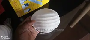 Taiwan Dust Mask