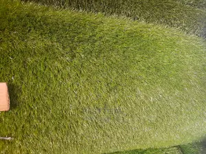 Double Layer Artificial Grass Carpet