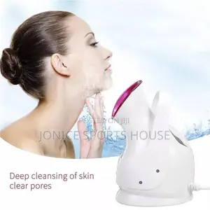 Facial Cleanser/Steamer