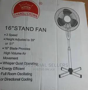 Good Standing Fan