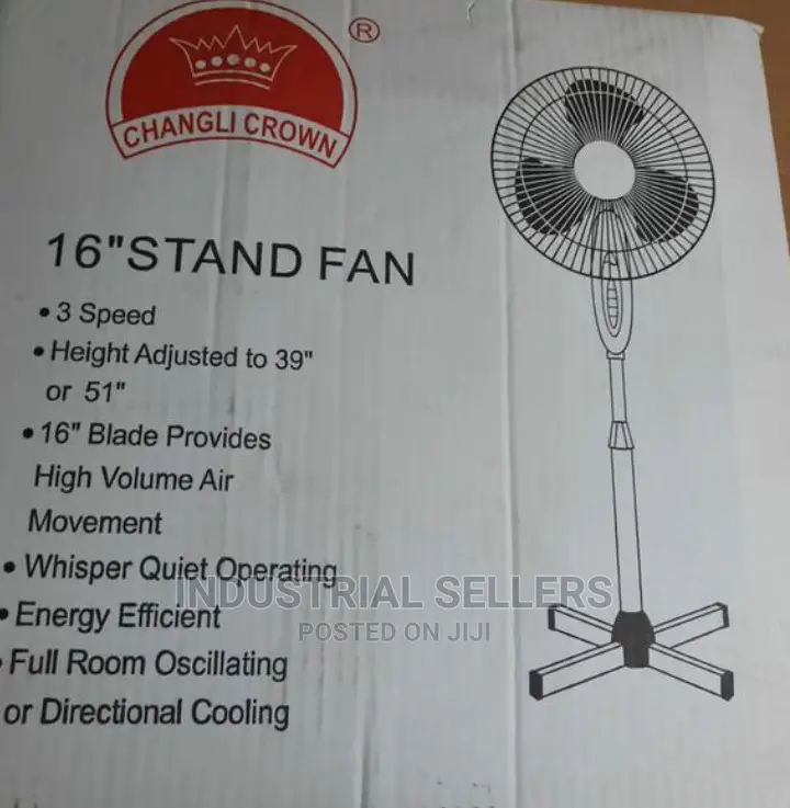 Good Standing Fan