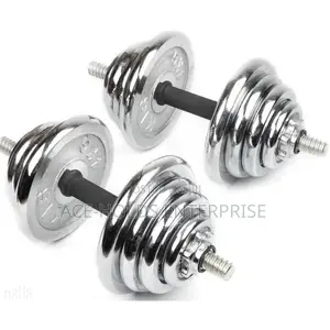 Chrome Dumbbells 10kg