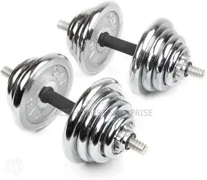 Chrome Dumbbells 25kg