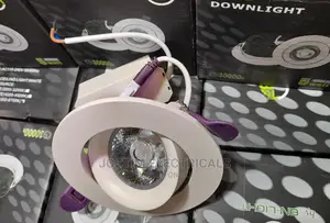 Downlighters Light Bulbs