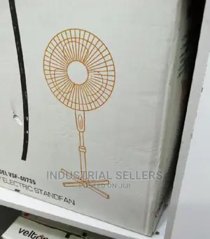 Electric Standing Fan