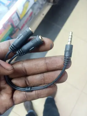 Audio Mic Converter Cable