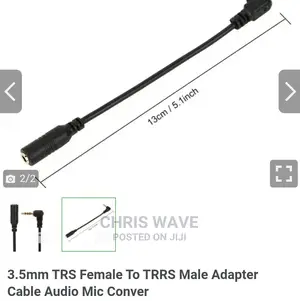 Audio Mic Converter Cable