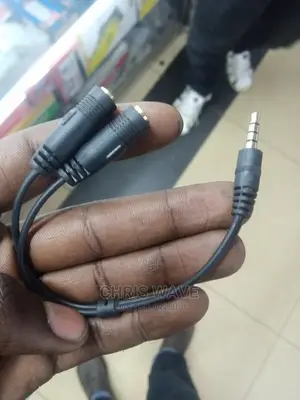Audio Mic Converter Cable