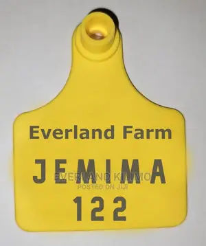 Ear Tag Customization