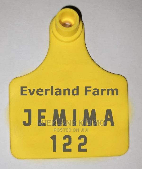 Ear Tag Customization - main view