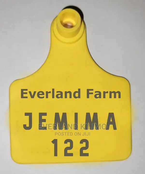 Ear Tag Customization