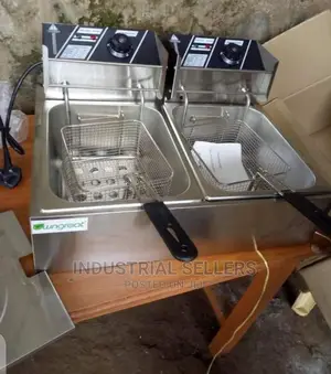 New Arrival Double Deep Fryer