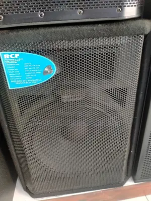 15 Inch Wooden Speaker