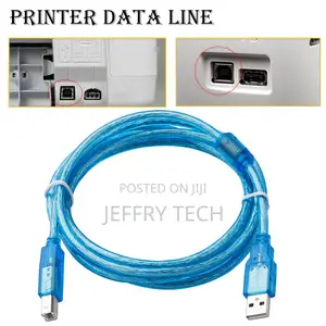 High Speed Transparent Blue 30cm USB 2.0 Printer Cable Type