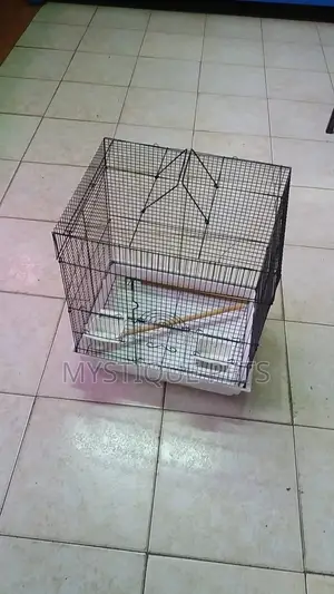 Love Birds Cage