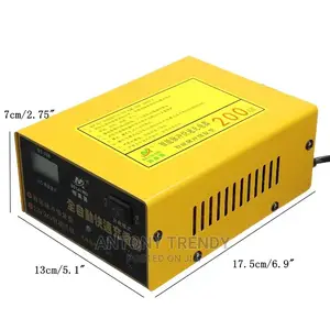 Generic 220V Car Battery Charger