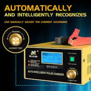 LCD Display Full Automatic Car Battery Charger