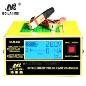 Car Battery Charger 12v 24v