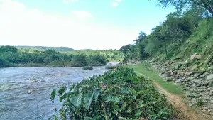 17 Acres of Land for Sale