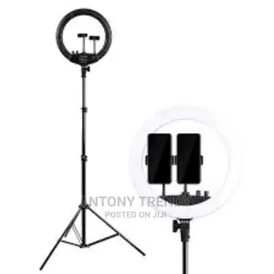 14 Inch Ring Light With Stand and Phone Holder,