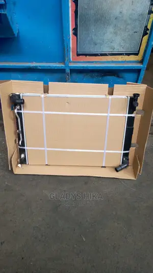 Brand New Radiator for Harrier 240 on Sale