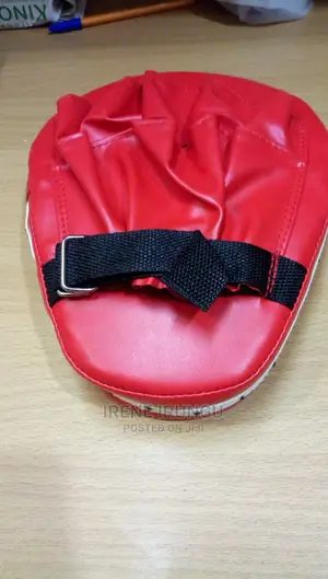 Pair of Gym Pads