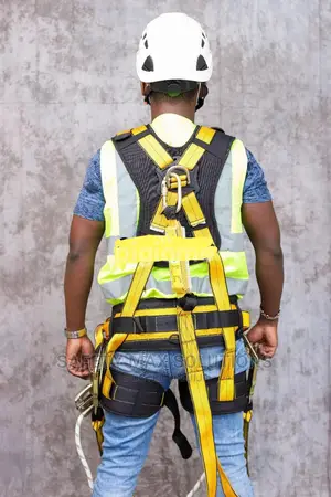 Safety Harness Full Body Panacea