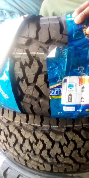 285/60 R 18 Comforser at Brand