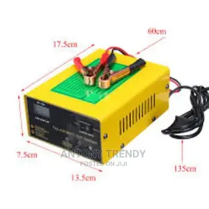Car Battery Charger 12v/24v for Standard Lead Acid Battery