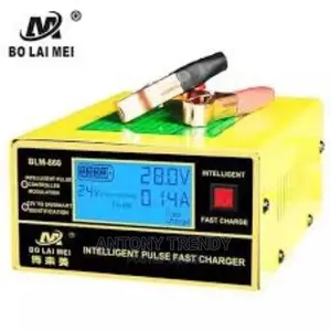Automatic Battery Charger