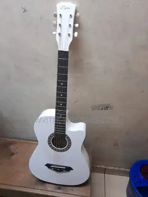 Enjoy Semi Acoustic Guitar