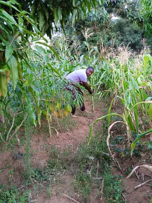 Plot for Sale at Katoloni