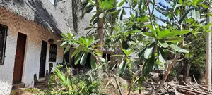 Abandoned Cottage With a Swimming Pool on Sale Mtwapa