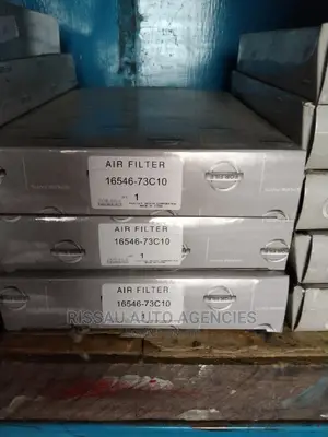Air Cleaner 73C10 for Nissan B15